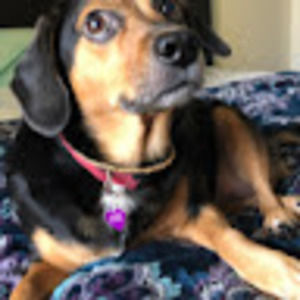 Meet your Posher, Paul